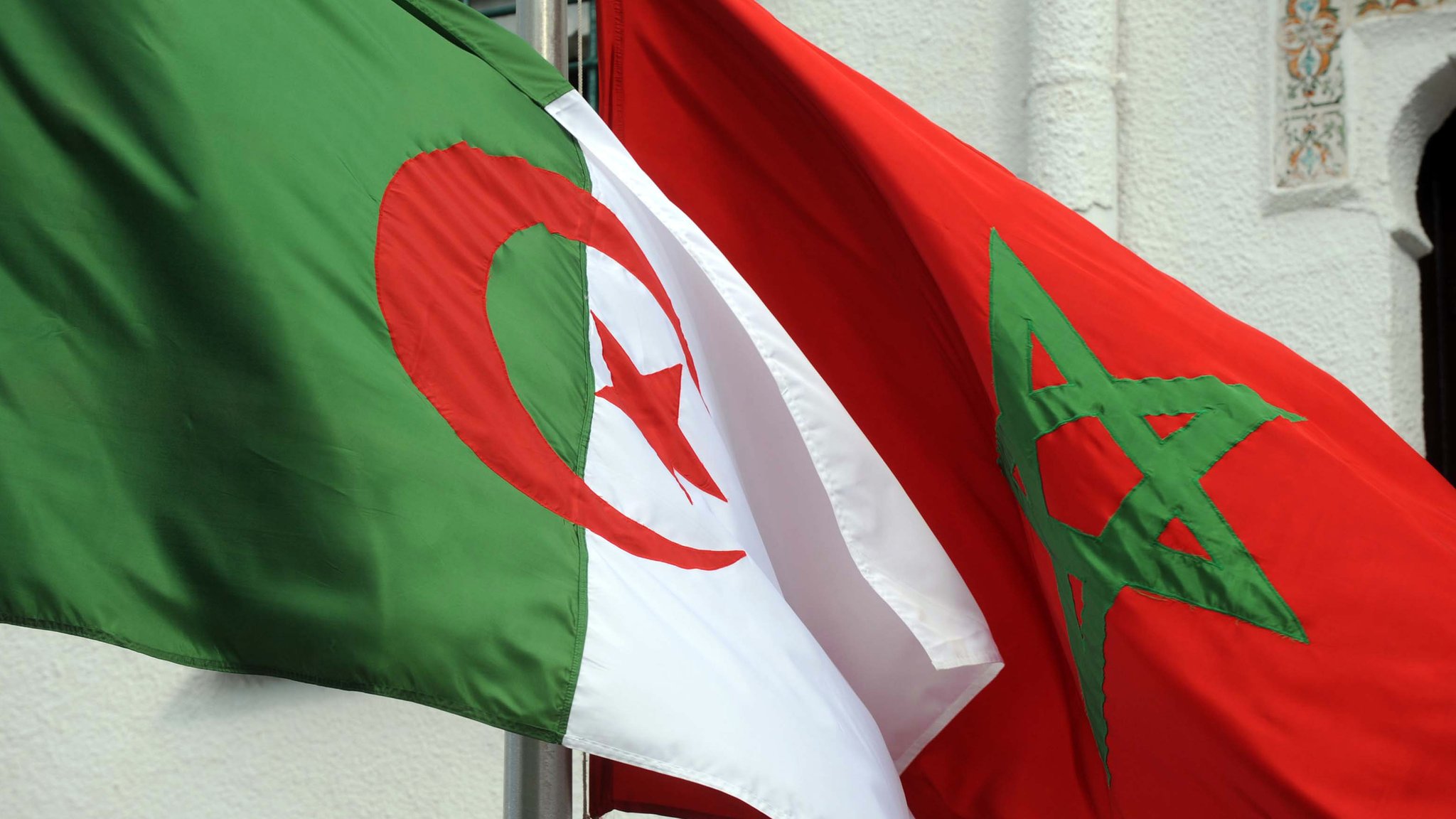 شاهد فرحة الجزائريين بتأهل المنتخب المغربي التاريخي