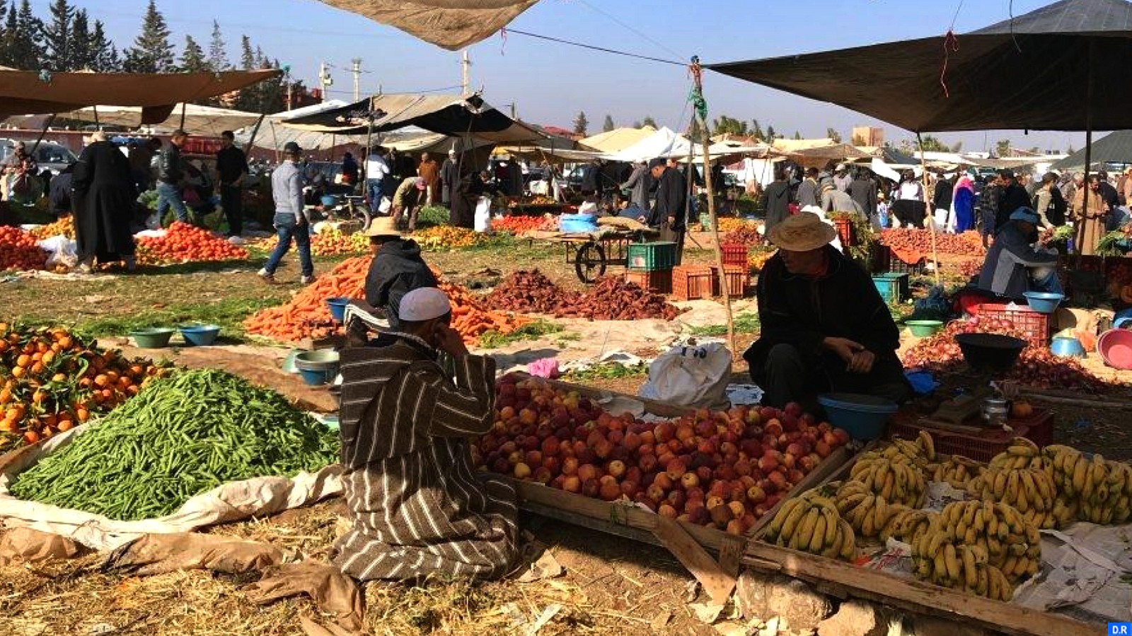 الأسعار ومائدة المغاربة في رمضان.. هذه تطمينات وزيرة المالية