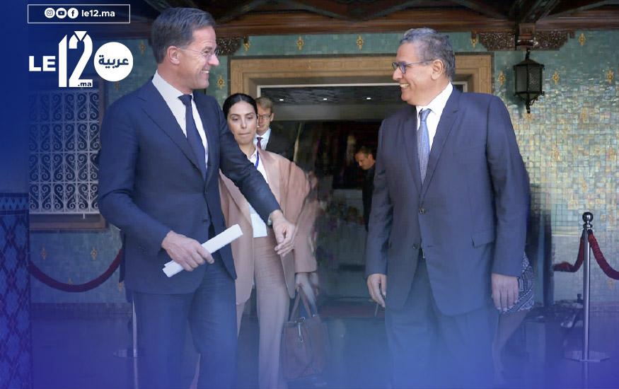 المغرب هولاندا. أخنوش: نشتغل على  شراكة استراتيجية (فيديو)