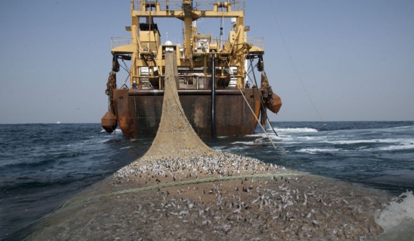 الصيد البحري.. بوريطة يكشف مصير البروتوكول ويعلن محددات المراجعة
