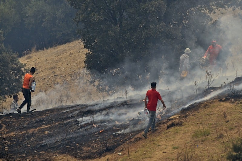 الجارة الشرقية.. مصرع 15 شخصا في حرائق الغابات