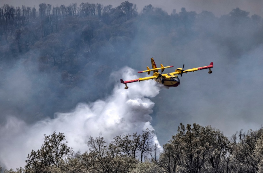 وكالة المياه والغابات تحذر مرتادي الغابات بعدم إشعال النار خلال الصيف