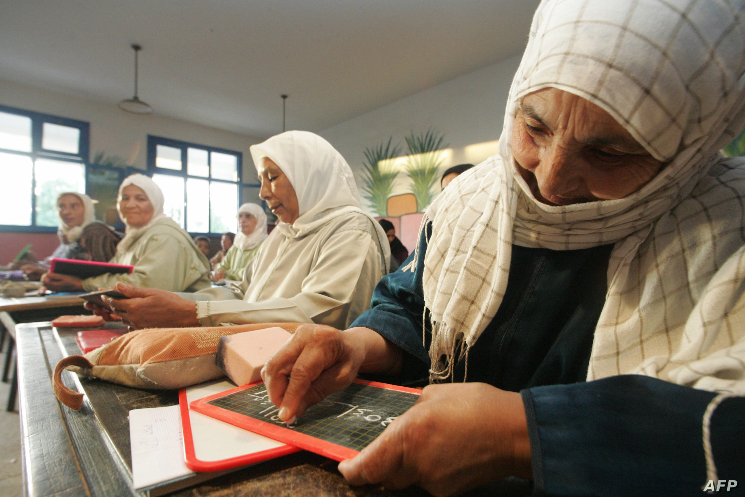 الحركة الشعبية تطالب بمحو “الأمية الرقمية”و”الأمازيغية” عند المغاربة