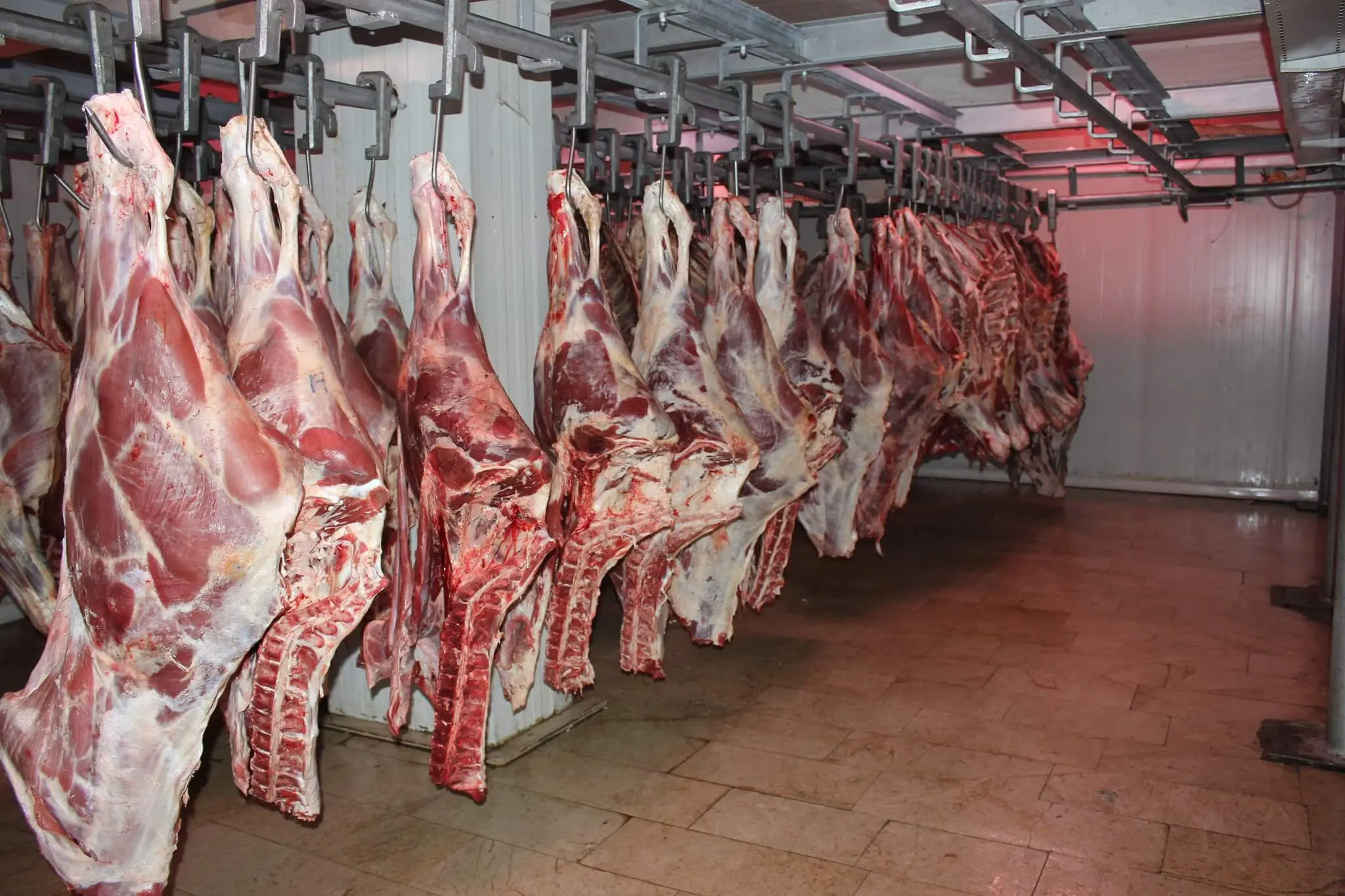 السنتيسي يعيد جدل أسعار اللحوم إلى البرلمان