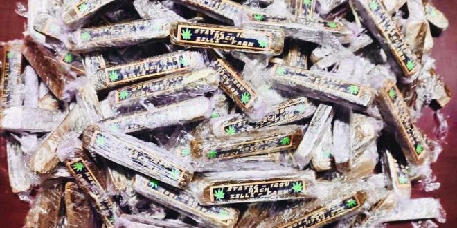 طنجة.. ترويج “الحشيش” يطيح بـ3 أشخاص