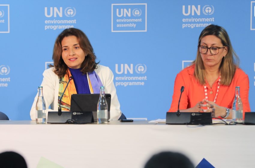 بنعلي: تم إحراز تقدم بارز في ظل رئاسة المغرب للدورة الـ6 لجمعية الأمم المتحدة للبيئة