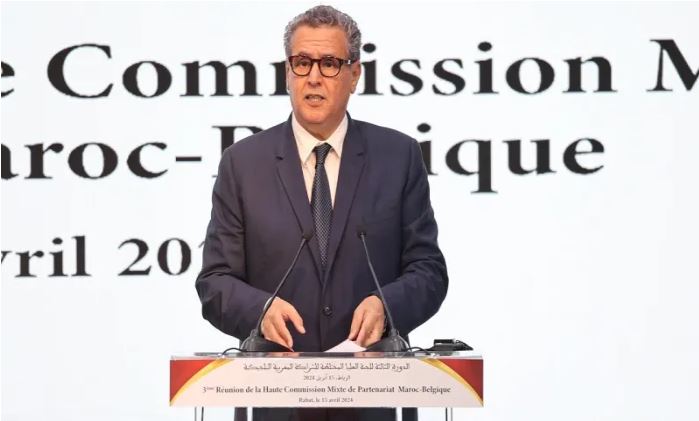 المغرب-بلجيكا.. أخنوش يشيد بتقارب وجهات نظر ومواقف البلدين في عدد من القضايا (فيديو)