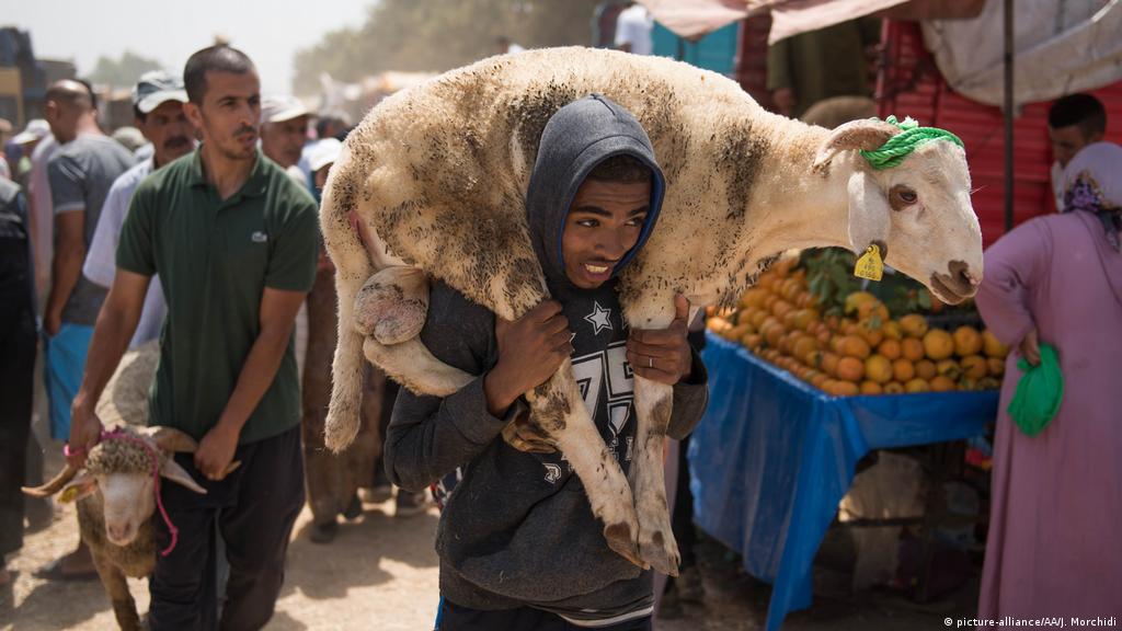 وزارة الأوقاف.. بلاغ هام بخصوص عيد الأضحى