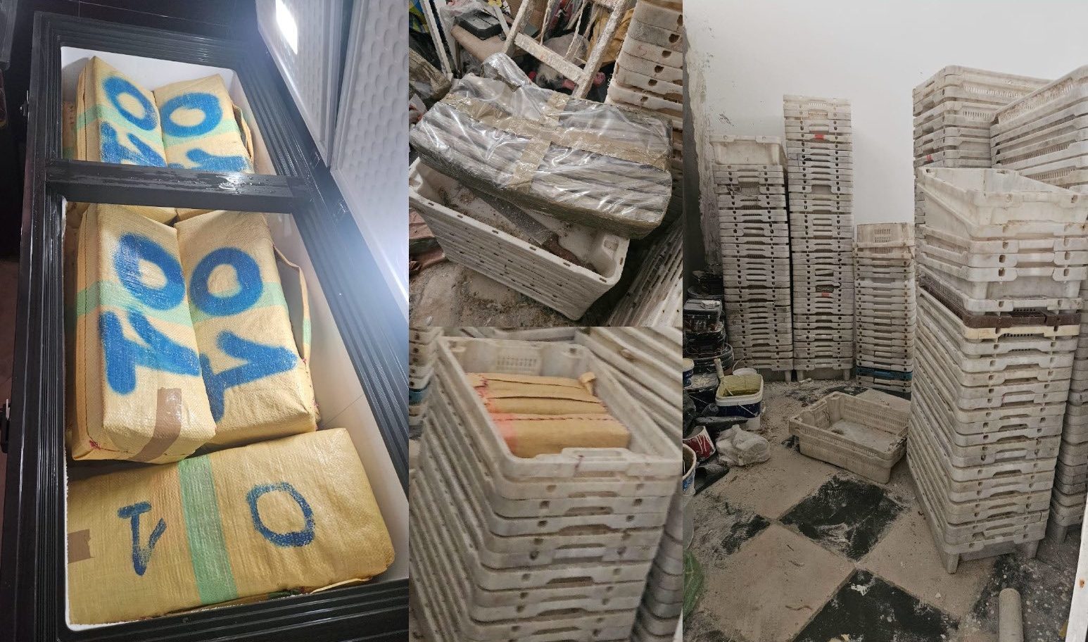 الديستي يقود بوليس طنجة لإحباط تهريب نصف طن من “الحشيش”