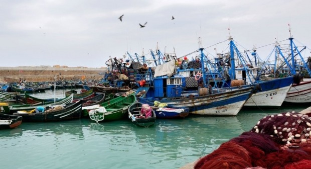 الداخلة.. وفد نيجيري يطلع على التجربة المغربية في مجالي الصيد البحري والموانئ