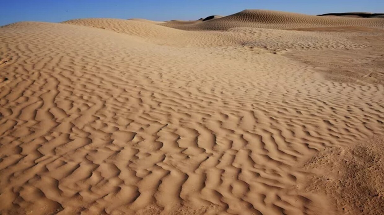 من صحراء المغرب إلى فيافي الجزائر.. قصة ماورو التائه بماراثون الرمال