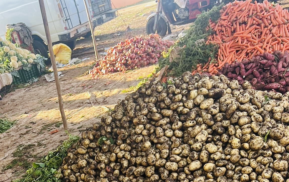 صباح الأحد في السوق الأسبوعي.. أول لقاء عسكري سابق في الجيش السوري