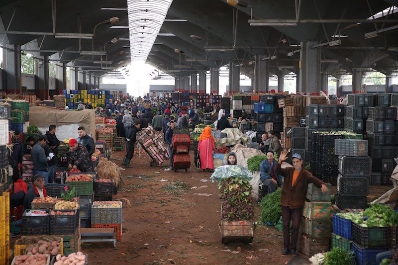 مداخيل سوق الجملة للخضر والفواكه بالدار البيضاء ترتفع خلال سنة 2024