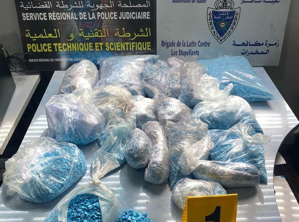ضربة معلم.. إجهاض محاولة لتهريب كمية كبيرة من القرقوبي ببني انصار