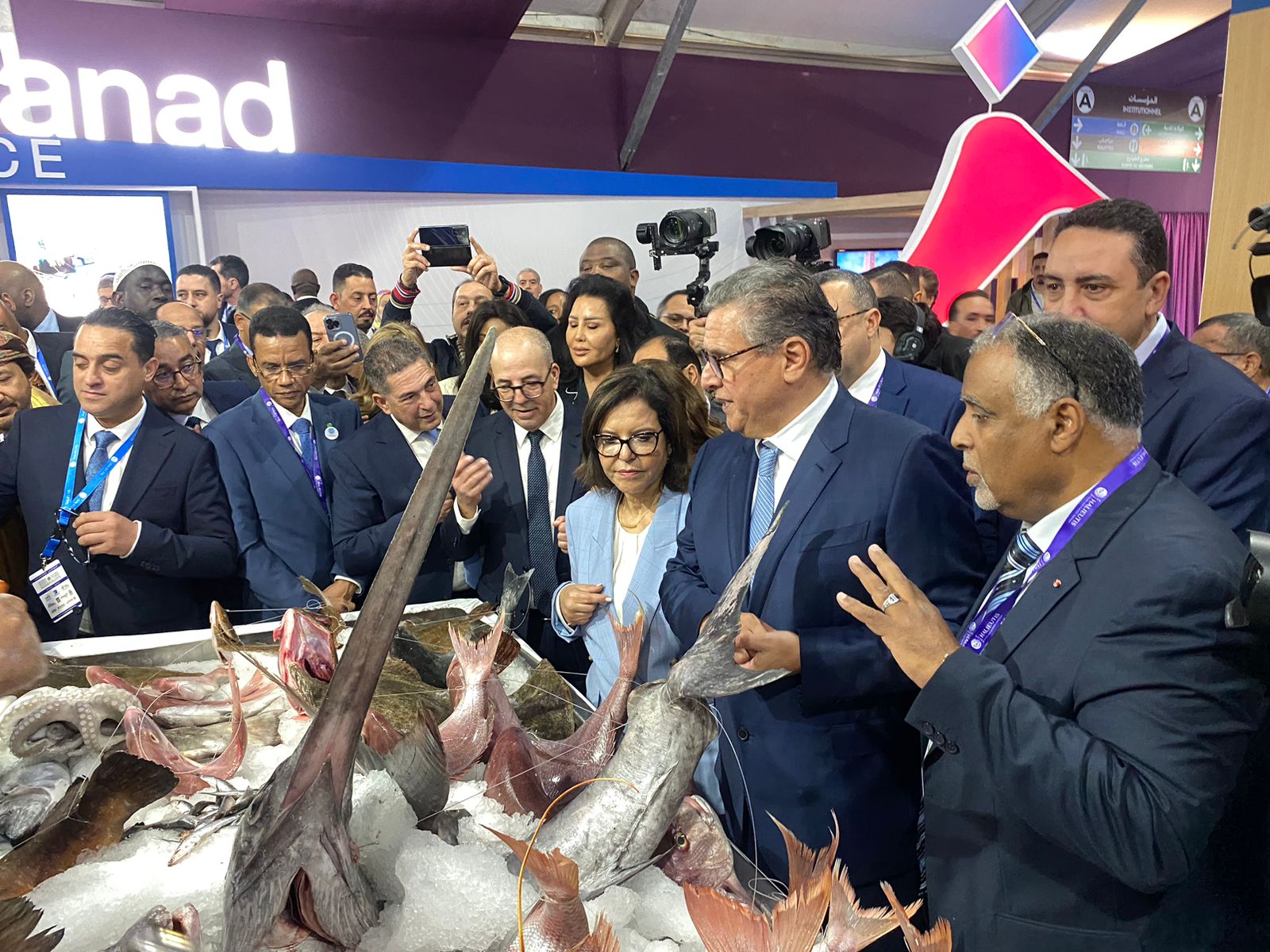 طارئ صحي يمنع كريم أشنكلي من حضور افتتاح معرض “أليوتيس”