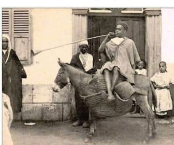 مغرب زمان. حسَن الرّحيبي يكتب نفّار آسفي.. زعطوزط في سيدي بنور