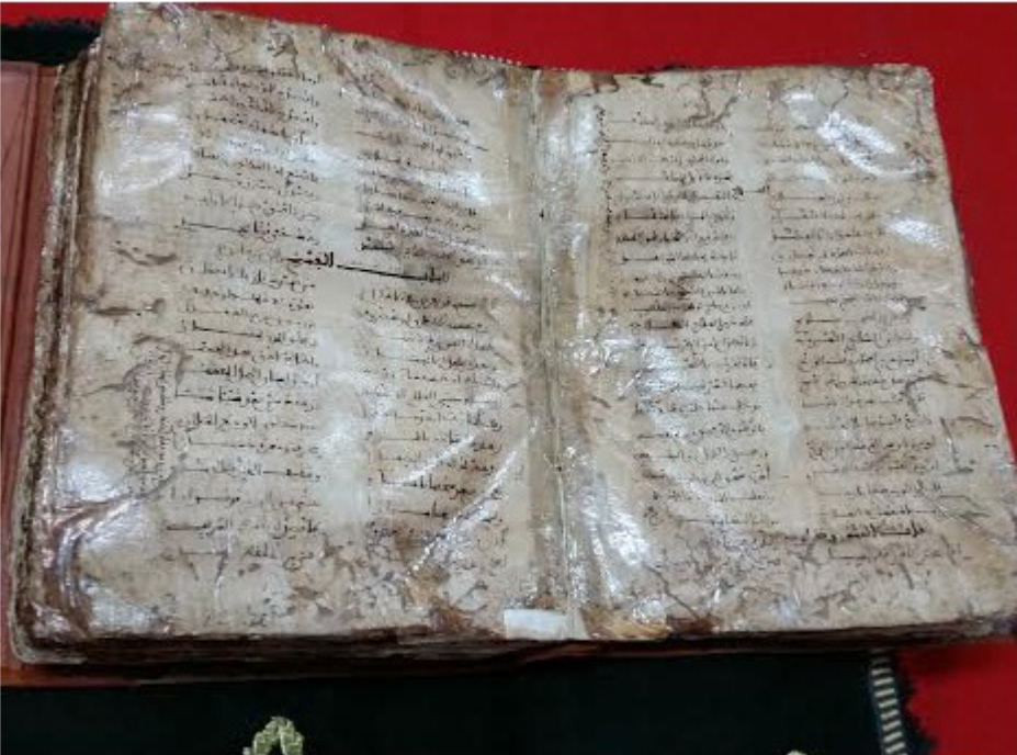 اليونسكو.. إدرج “الأرجوزة الطبية” لابن طفيل في سجل “ذاكرة العالم”