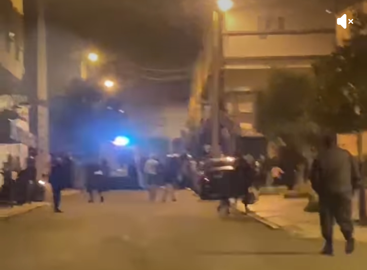 آسفي. الرصاص لإيقاف شخصين من ذوي السوابق هاجما الشرطة بكلبين شرسين