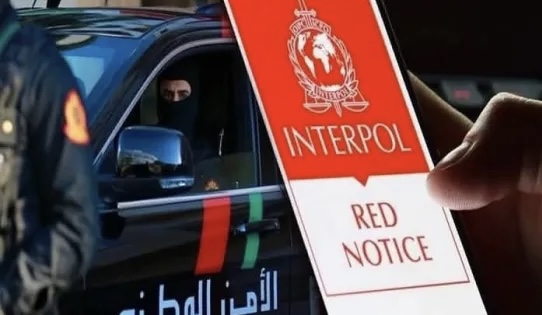 مطلوب دوليا.. إيقاف فرنسي من أصول جزائرية بالدار البيضاء
