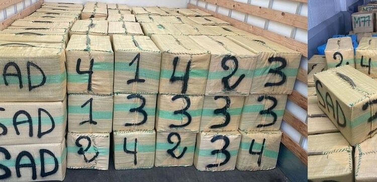 صيد ثمين.. حجز 25 طن من “الحشيش” بـسيدي قاسم