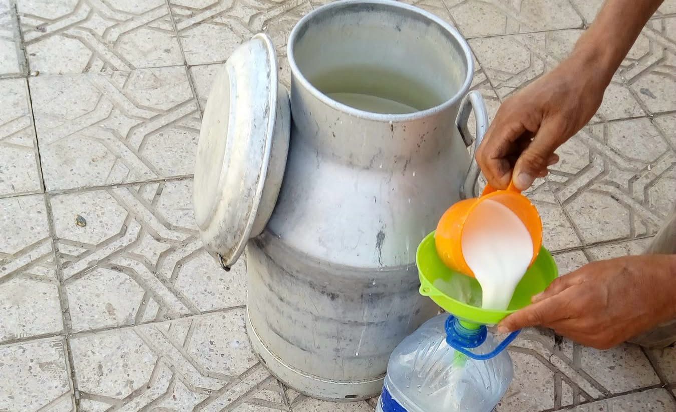 “أونسا” توصّي بتفادي إستهلاك “حليب العبار” وتوصي ب”الحليب” المرقم