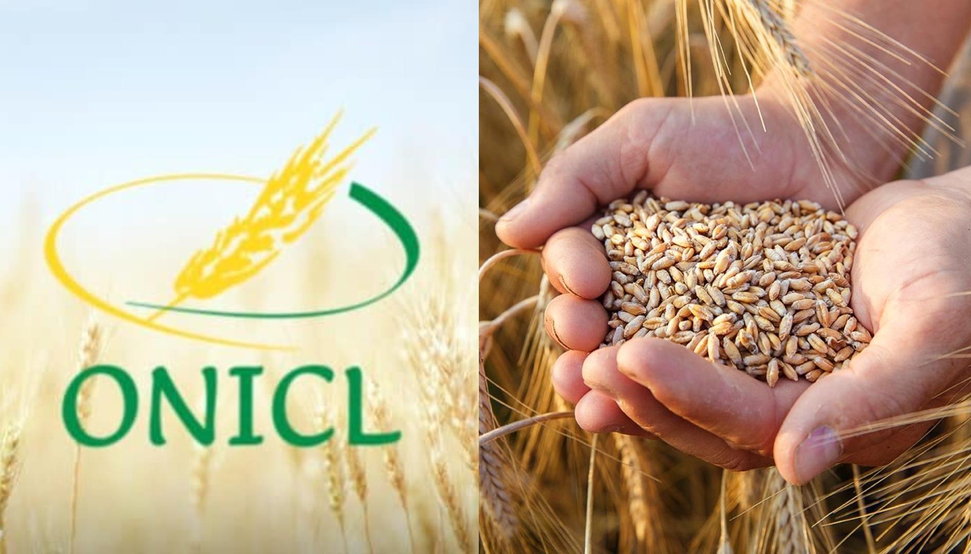 تسعيرة جديدة لدعم استيراد القمح اللين