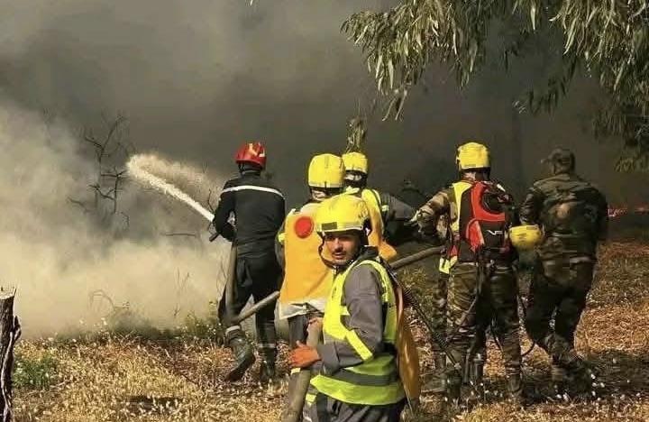 طنجة. حر.يق  غابة هوارة. إعتقال وحبس “مول الفعلة”