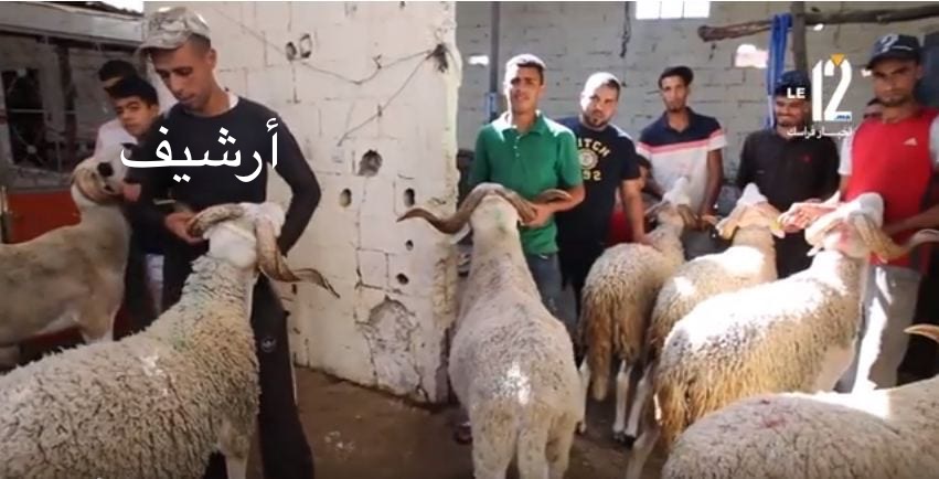 إغلاق أسواق الماشية وأماكن بيع الأضاحي لمدة أسبوعين احترامًا للقرار الملكي