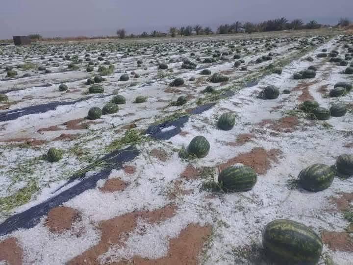 زاكورة. تحليل الحالة الجوية والزخات الرعدية الأخيرة بمرتفعات الأطلس والجنوب الشرقي