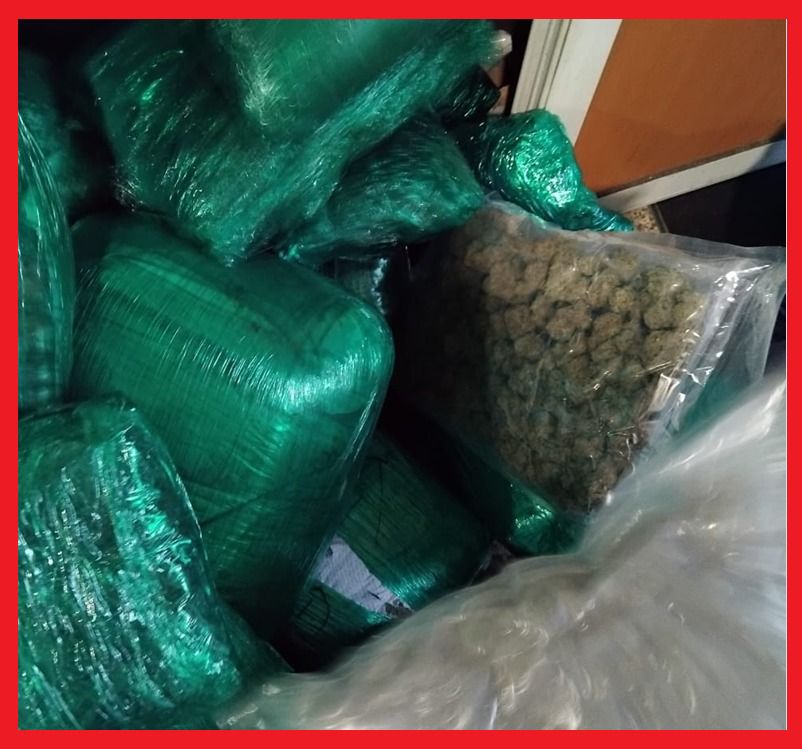 توقيف كنديين بمطار البيضاء بحوزتهما 133 كلغ من “الماريخوانا”