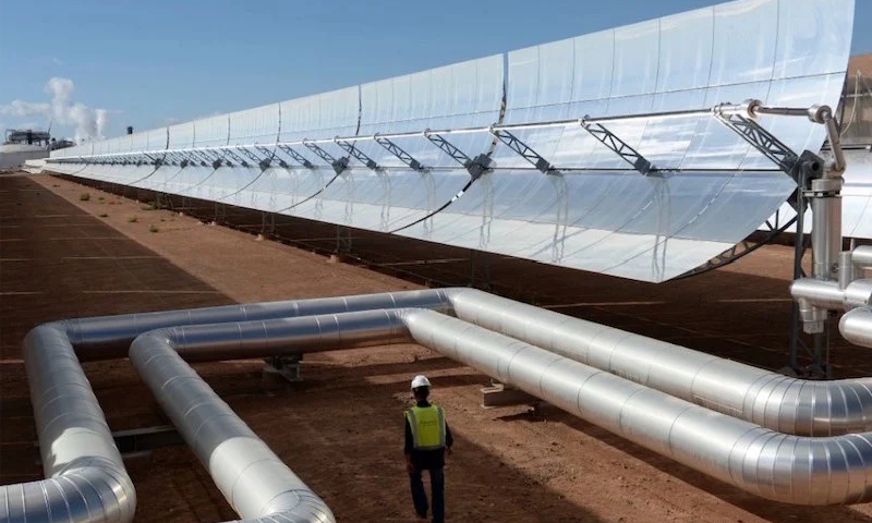 الانتقال البيئي في صلب أولويات جلالة الملك محمد السادس