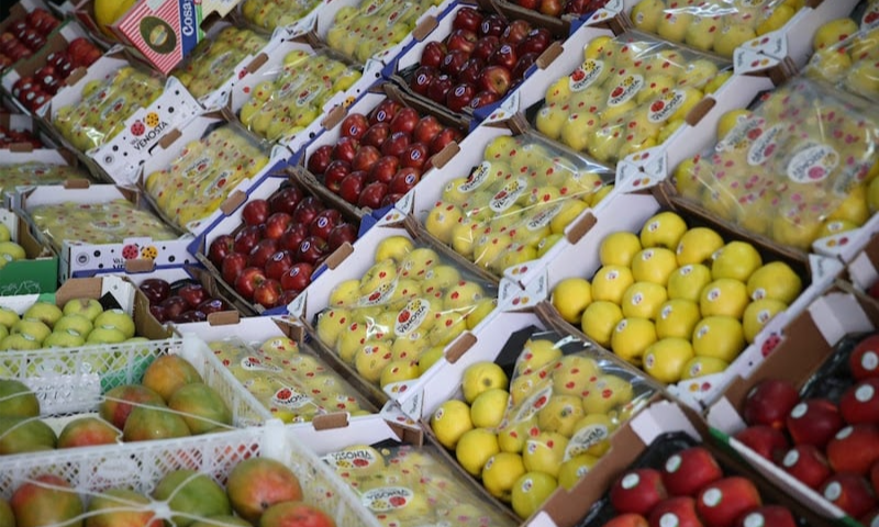 المغرب يُعزز مكانته كمصدر أساسي للفواكه على الصعيد القاري