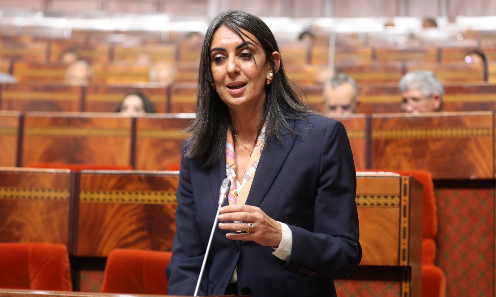 فتاح:الحكومة عازمة على مواصلة تنزيل برنامجها الإصلاحي