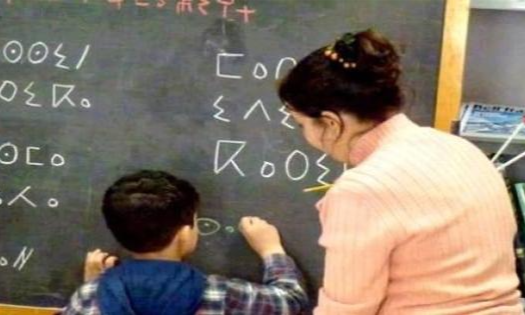 تعليم اللغة الأمازيغية آلية أساسية لحفظ الموروث الثقافي الأمازيغي من الاندثار
