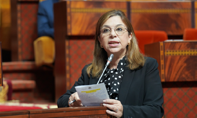 الخطة الحكومية للمساواة 2023-2026 . نسبة التنفيذ بلغت 75 في المئة خلال سنة 2024