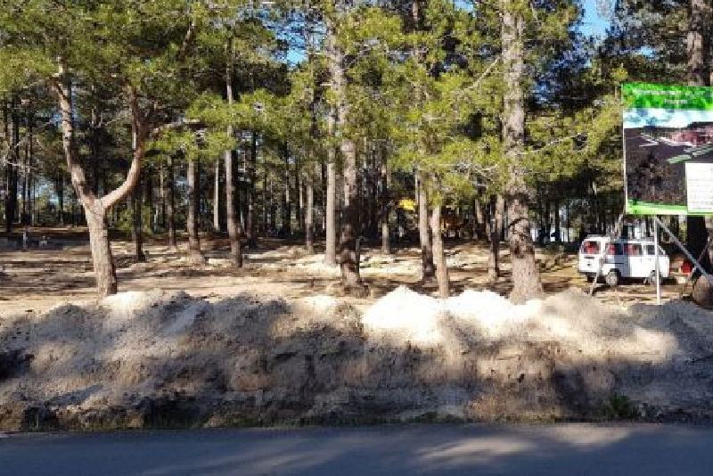 هذه حقيقة إجتثاث كلي لمساحة واسعة من غابة البرج بضواحي طنجة