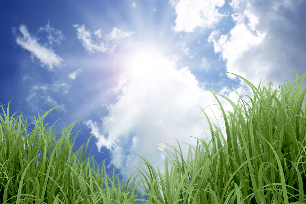 توقعات أحوال الطقس اليوم الأربعاء