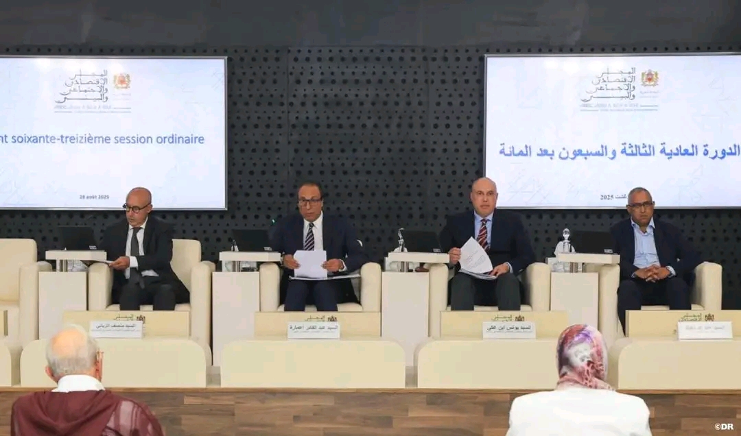 المجلس الاقتصادي والاجتماعي والبيئي يصادق على رأيه حول “ضريبة الكربون” الأوروبية