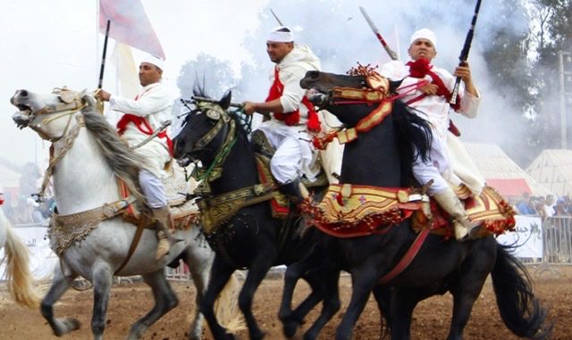 الجديدة.. مصرع طفل إثر سقوطه من على ظهر حصان بموسم مولاي عبد الله أمغار