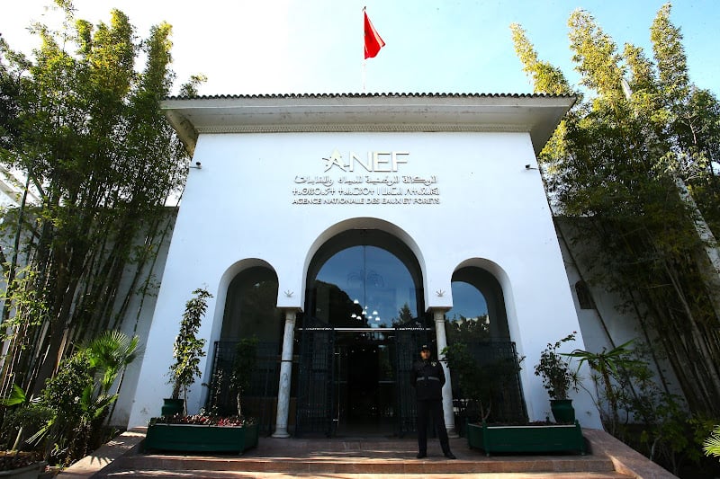 الوكالة الوطنية للمياه والغابات تصدر خرائط تنبؤ تحدد بدقة المناطق الحساسة والمعرضة لخطر اندلاع الحرائق الغابوية