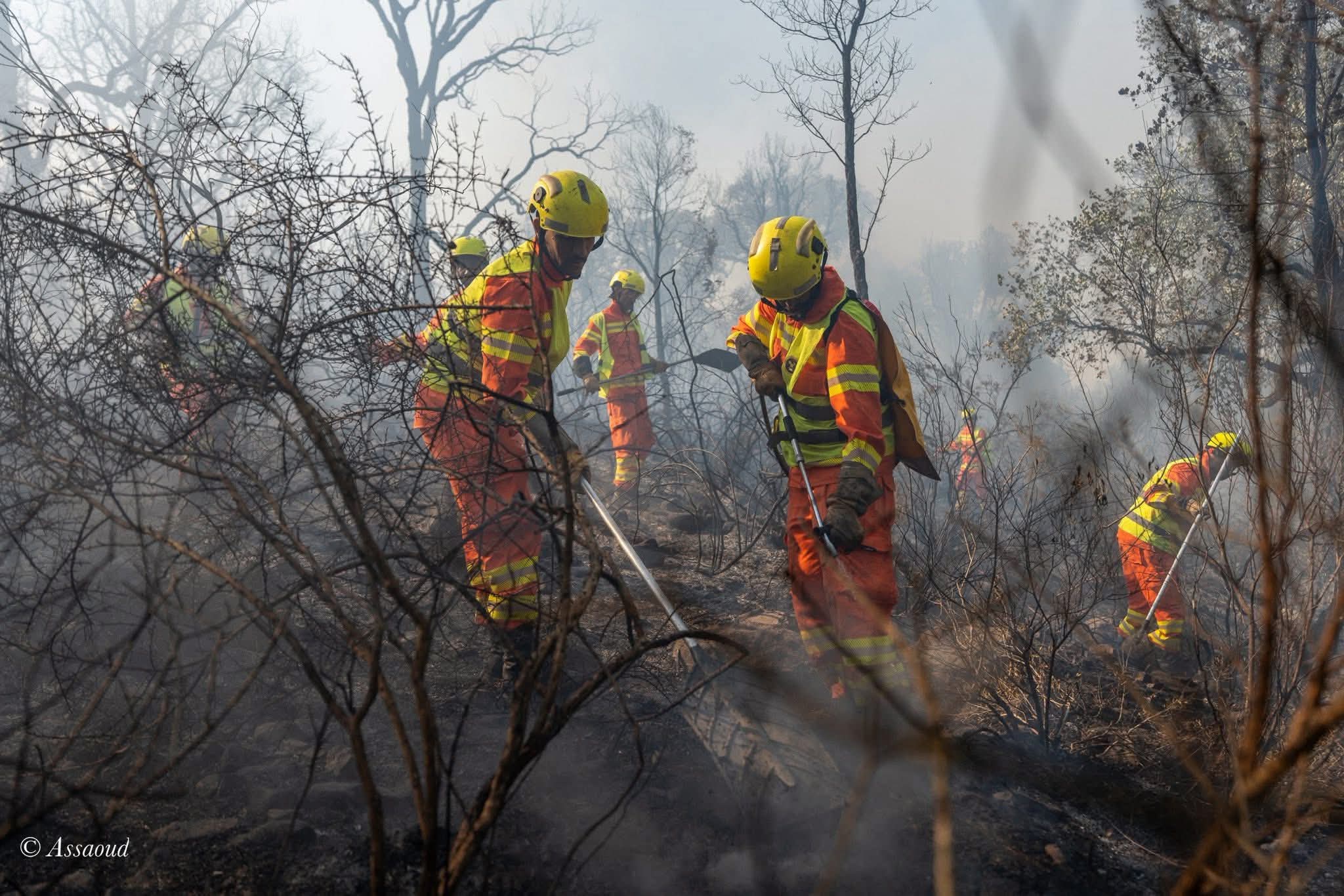 فرق التدخل تنجح في احتواء حريق غابات دردارة بإقليم شفشاون