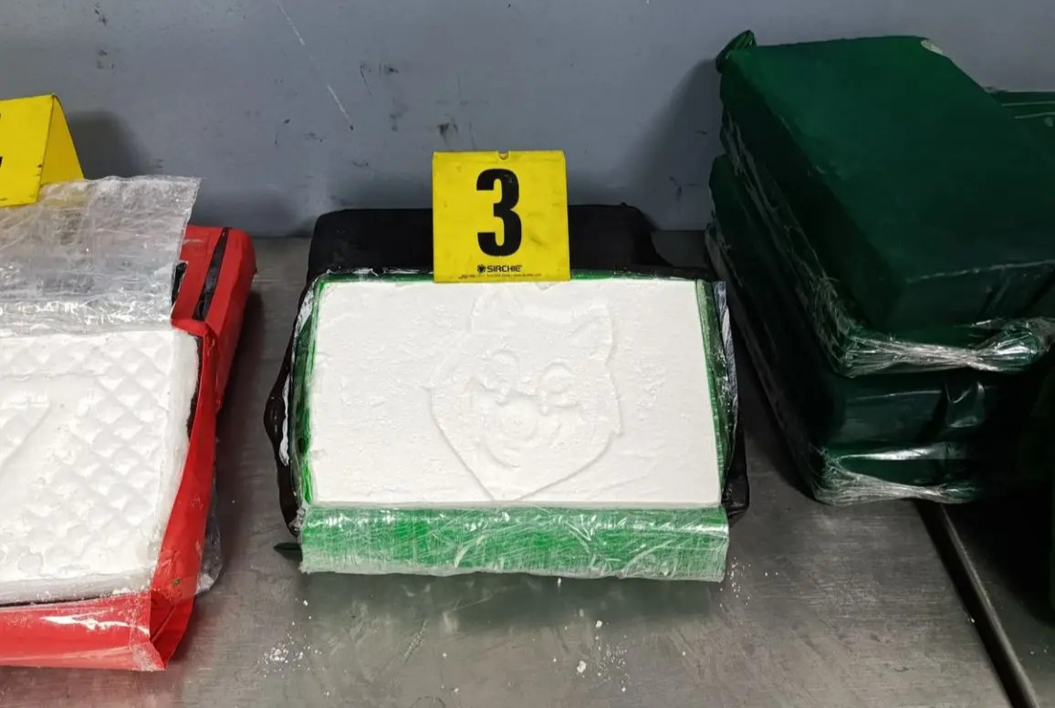 ميناء طنجة المتوسط.. إحباط تهريب 52 كلغ من الكوكايين على متن باخرة قادمة من البرازيل