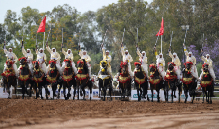 التبوريدة… صحيفة أرجنتينية تسلط الضوء على عراقة فن التبوريدة في المغرب