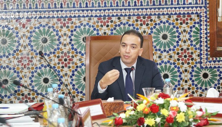 السعدي..  “مشروع قانون الاقتصاد الاجتماعي والتضامني وصل مراحله النهائية”