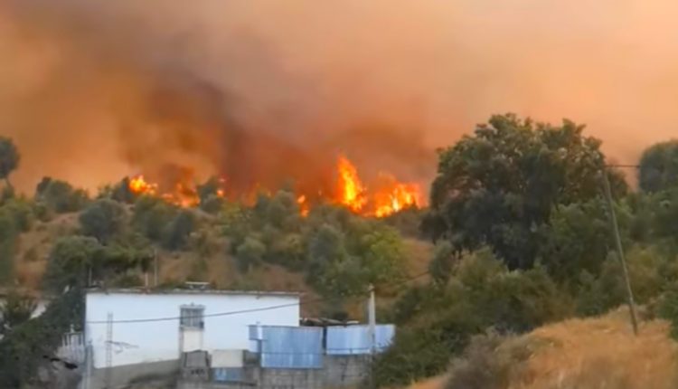 إقليم شفشاون.. حريق غابوي ضخم يستنفر السلطات وطائرات “كنادير” تدخل على الخط