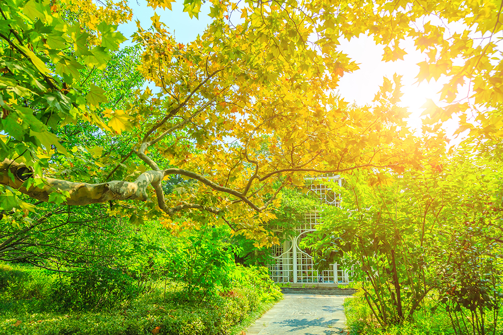 توقعات أحوال الطقس اليوم الجمعة