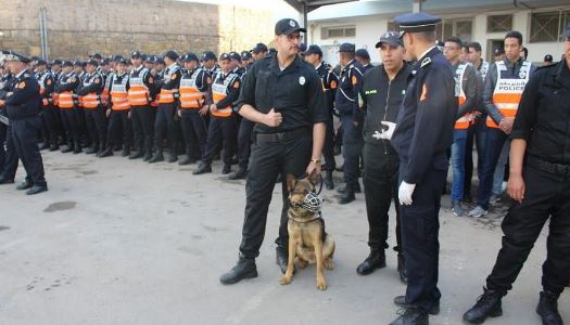 خطة أمنية صارمة تضبط ولوج الجماهير إلى “دونور” في الكلاسيكو