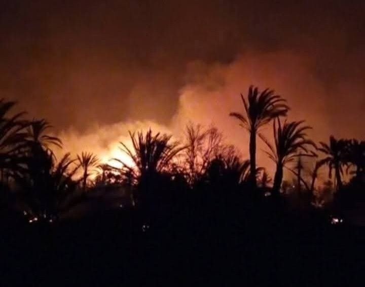 حريق مهول يلتهم “واحة أفلاندرا” بزاكورة ويخلّف خسائر مادية فادحة