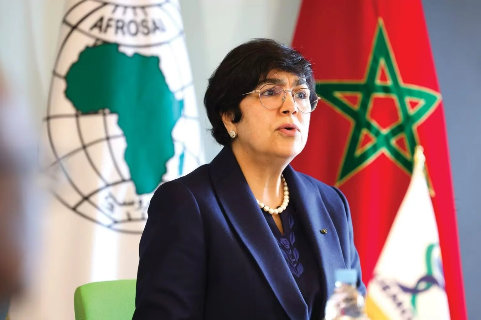 العدوي تدعو إلى “قيادة فعالة” لمواجهة تحديات الرقابة المالية