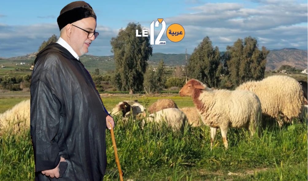 إفتتاحية.. بنكيران وتسمين “الخِرفان”!.. الحقيقة الضائعة..